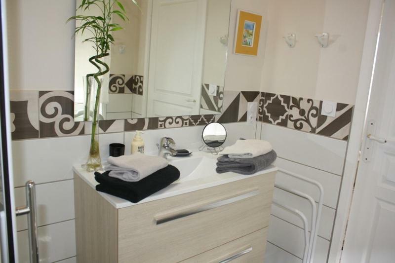 La Pecherie Bed and Breakfast Selles-sur-Cher Exterior foto