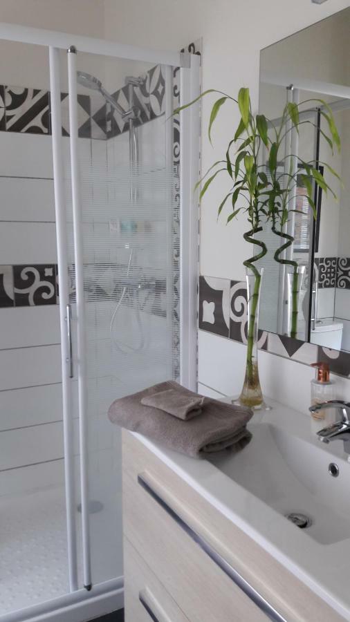 La Pecherie Bed and Breakfast Selles-sur-Cher Exterior foto